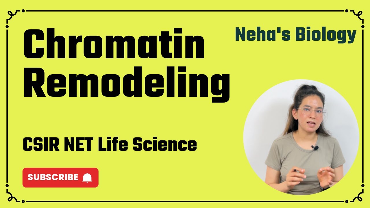 Chromatin Remodeling | CSIR NET Life Science