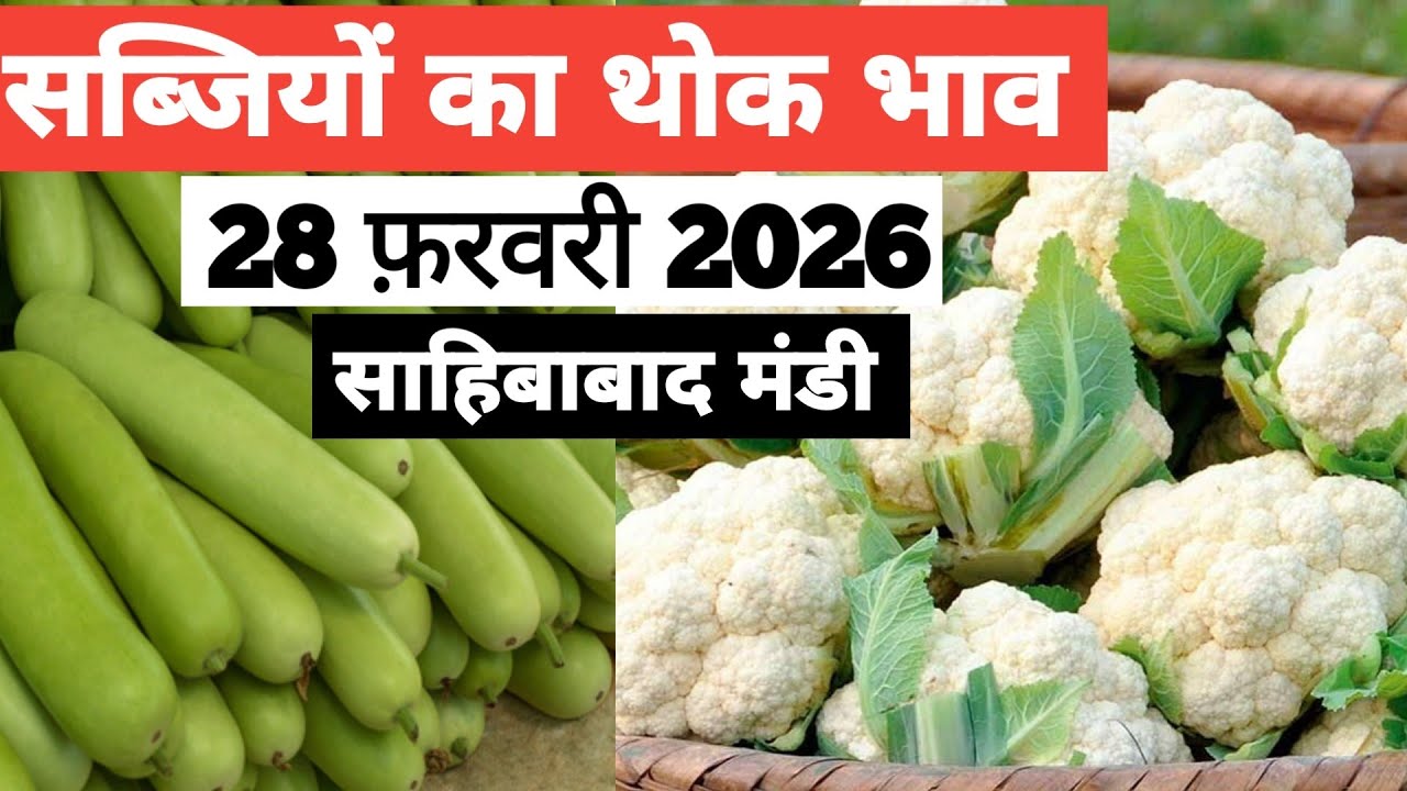 28 February 2026 🥬🫑 🥦 सब्जियों का भाव साहिबाबाद मंडी | today vegitables rates in sahibabad mandi 