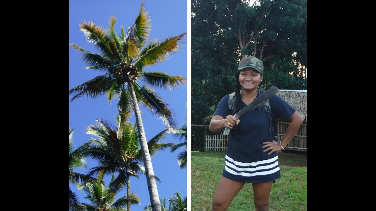 Life in the Philippines (How to Climb a Coconut Tree easily) How to Open a Coconut with Bolo Machete