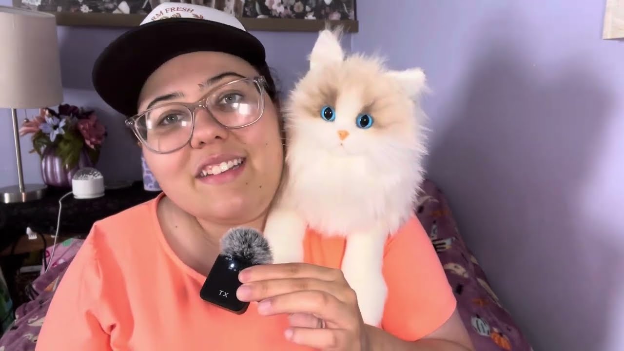 Chongker Ragdoll cat plushie review  