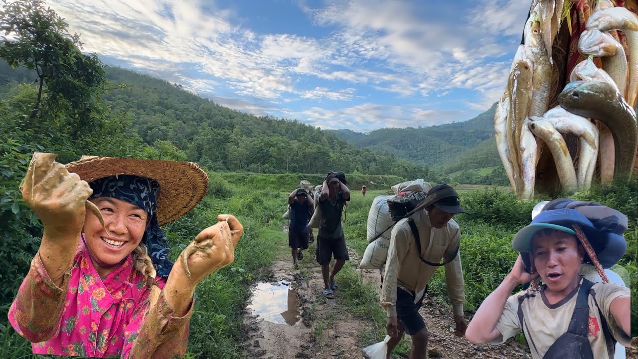 पहिलो चोटी धान १ घन्टा को बाटो बोकीयो धान बारी मा माछै माछा#villagevlog ~min joi