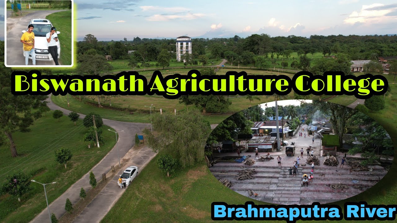 Biswanath College of Agriculture।।Full Drone View।।Vlog Video।। @trishulbhagawati