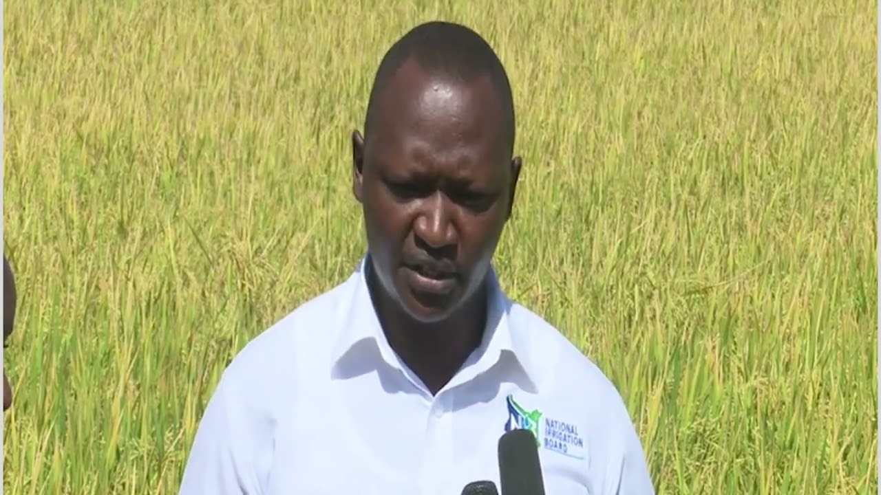 How a Groundwater-Irrigated Rice Scheme Transformed a Community