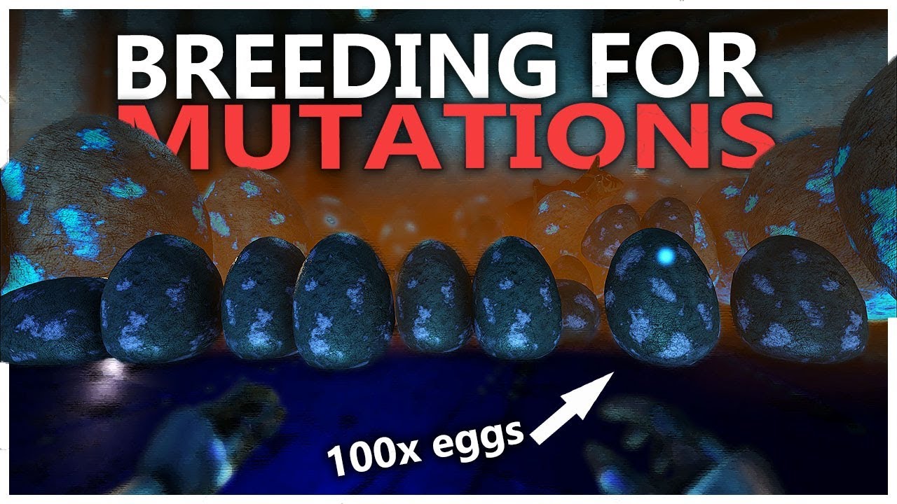 HOW TO BREED FOR MUTATIONS!! 100+ EGGS! OFFICIAL SMALL TRIBES PVP S4 Ep4 | ARK: Survival Evolved