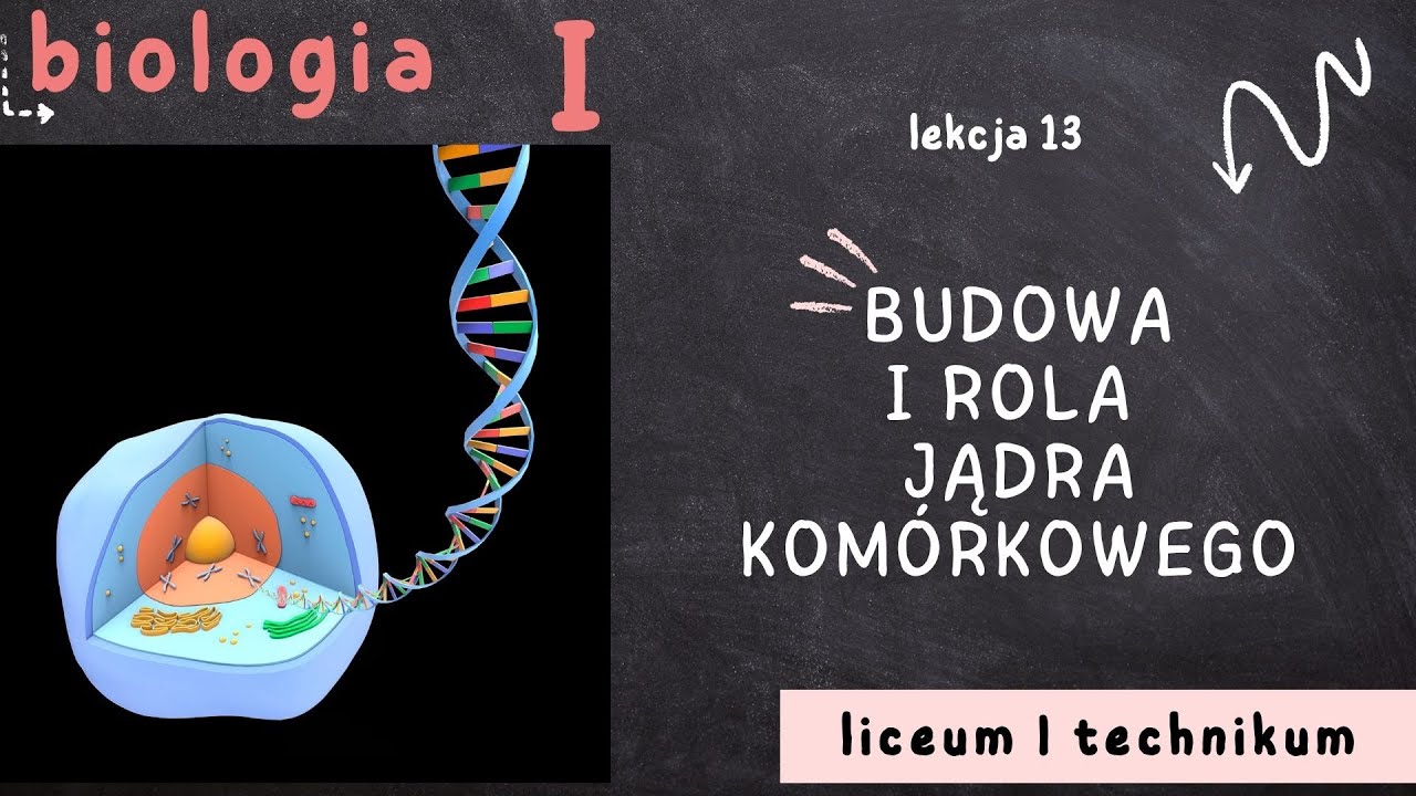 Biologia 1 LO [Lekcja 13 - Budowa i rola jądra komórkowego]