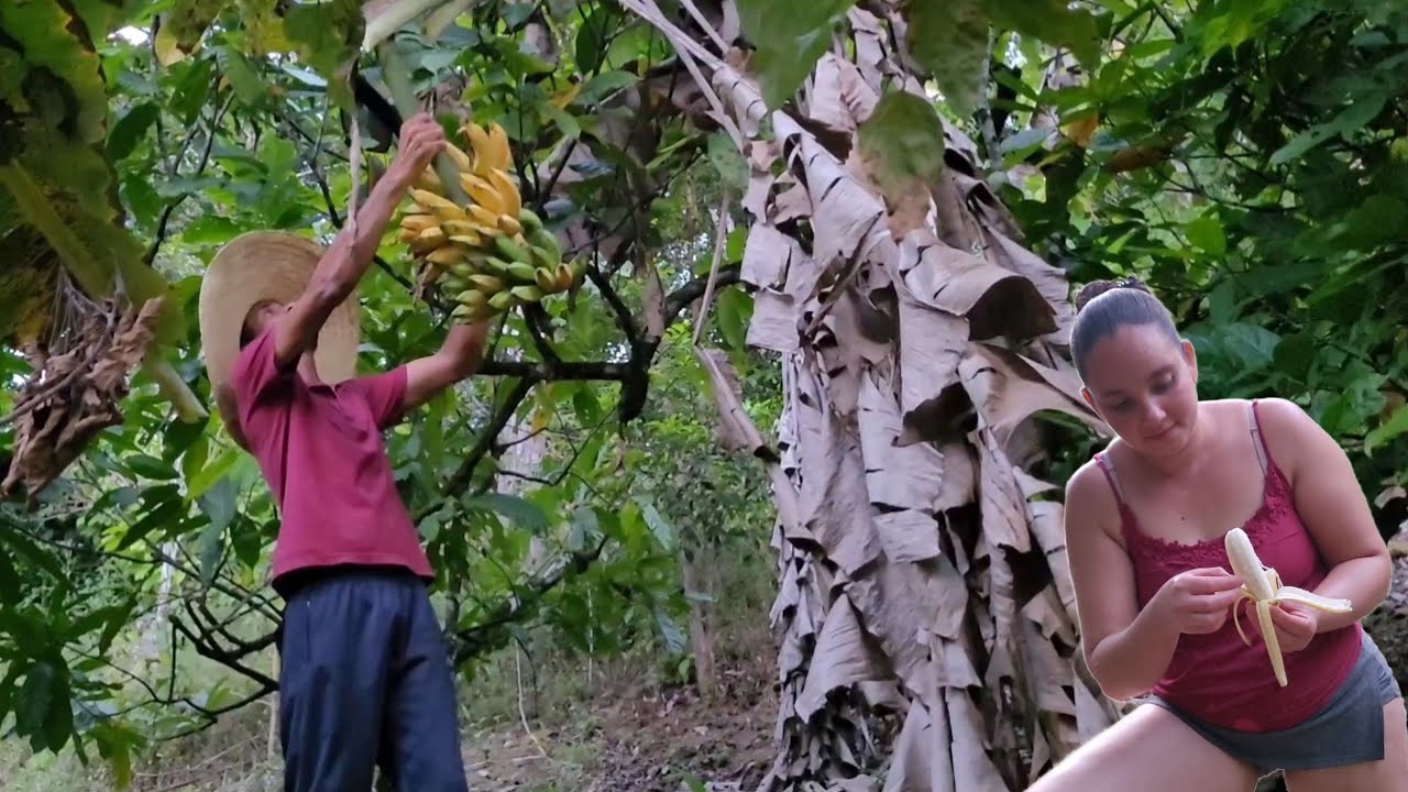 você gosta do Campo ? essa é vida que pedi para DEUS  #diamond @TILAPIA Minha Vida !
