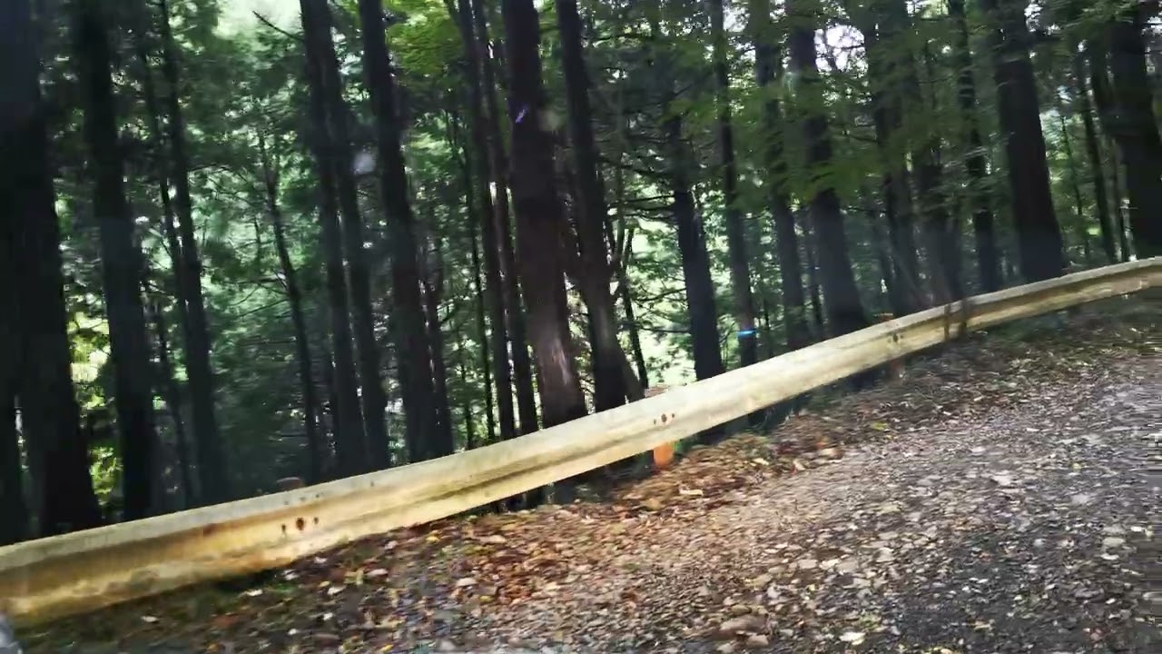 神奈川県の戸川林道を走ってみました。その１