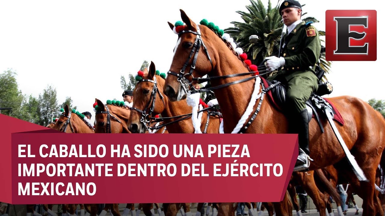 La importancia de la caballería armada del Ejército Nacional