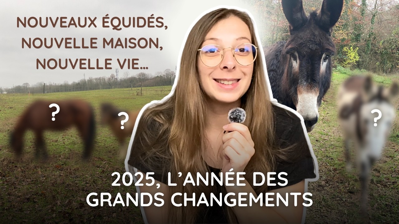 Récap 2025 : 3 nouveaux équidés, déménagement et l’énucléation de Prince