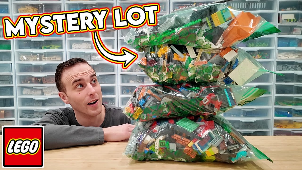 MYSTERY lot of LEGO! What's in the Bag!?