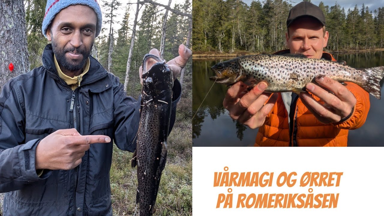 Vårmagi og ørret på Romeriksåsen