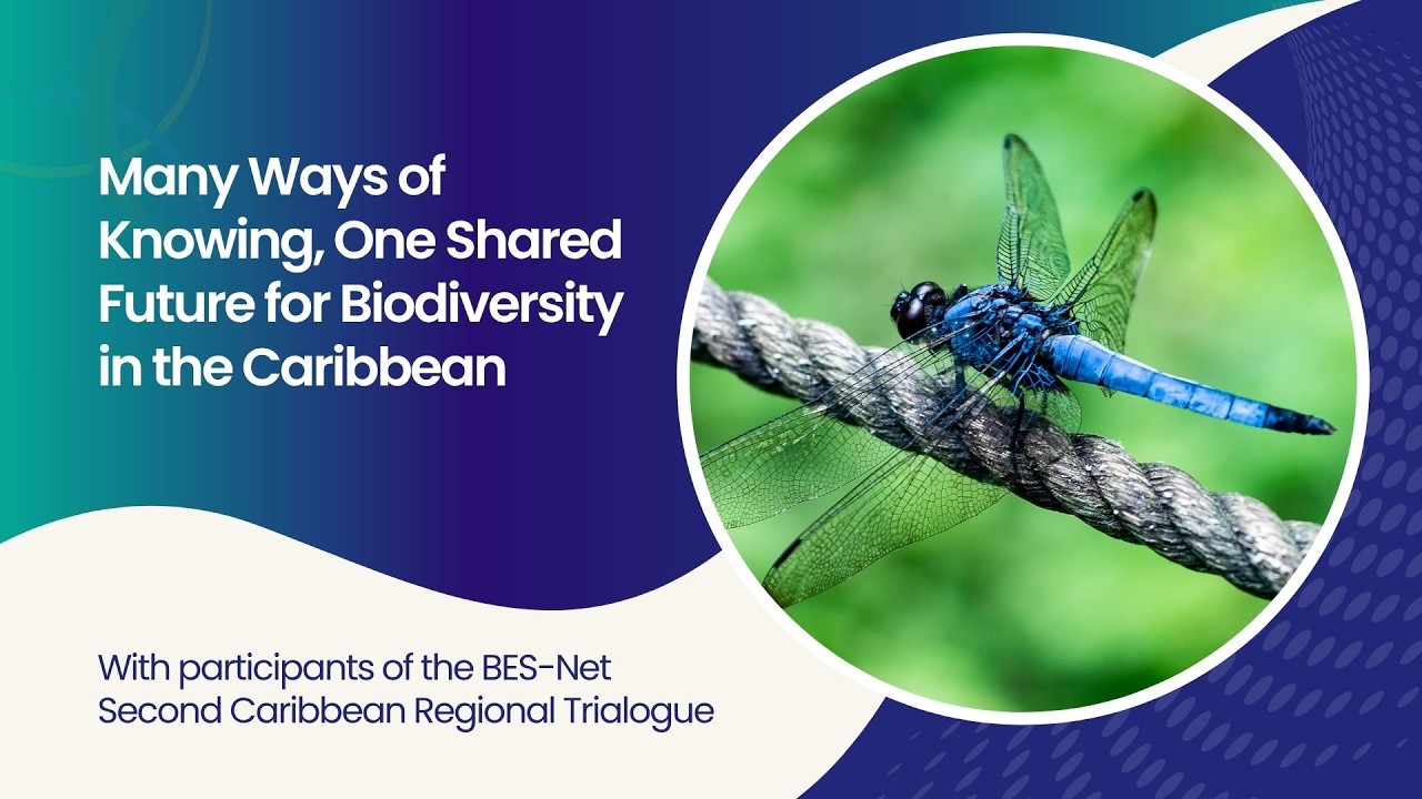 Many Ways of Knowing, One Shared Future for Biodiversity in the Caribbean