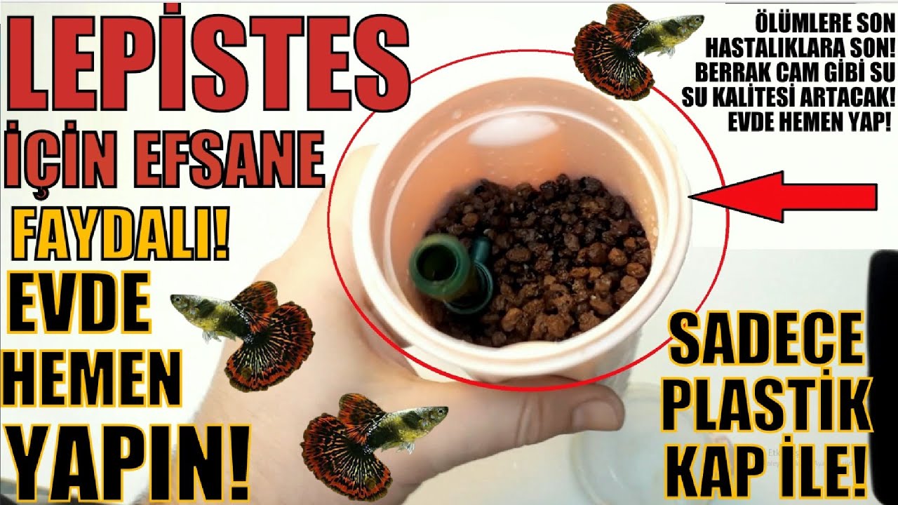 LEPİSTESLERİNİZE BU İYİLİĞİ YAPIN! EVDE ÇOK KOLAY YÖNTEM!