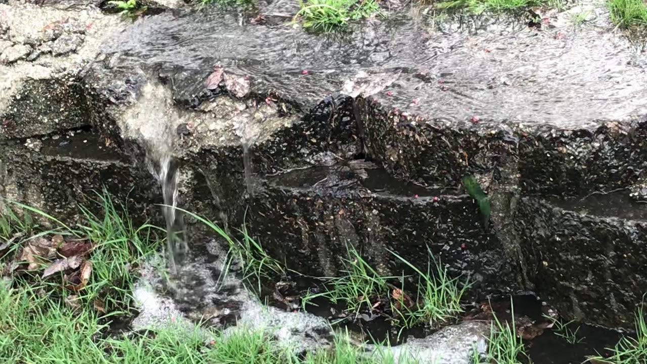 Rain Wave