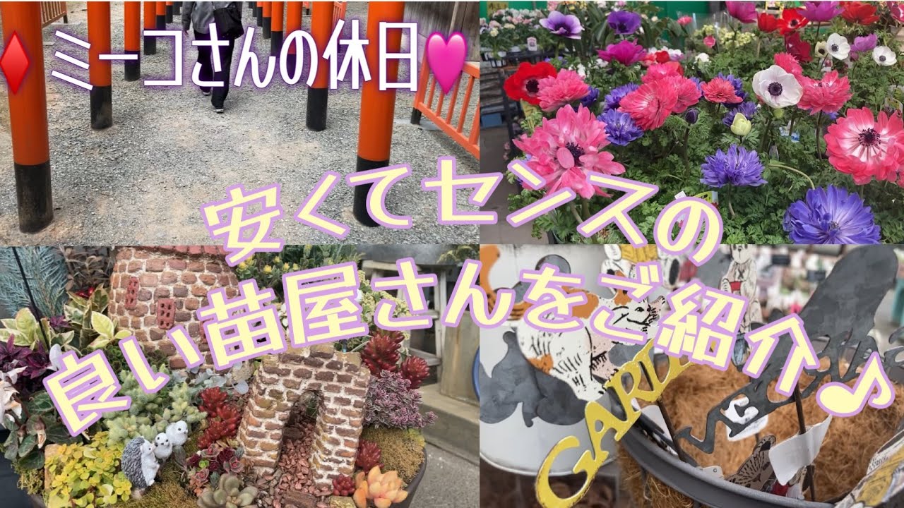 安くてセンスの良い苗屋さんをご紹介♪