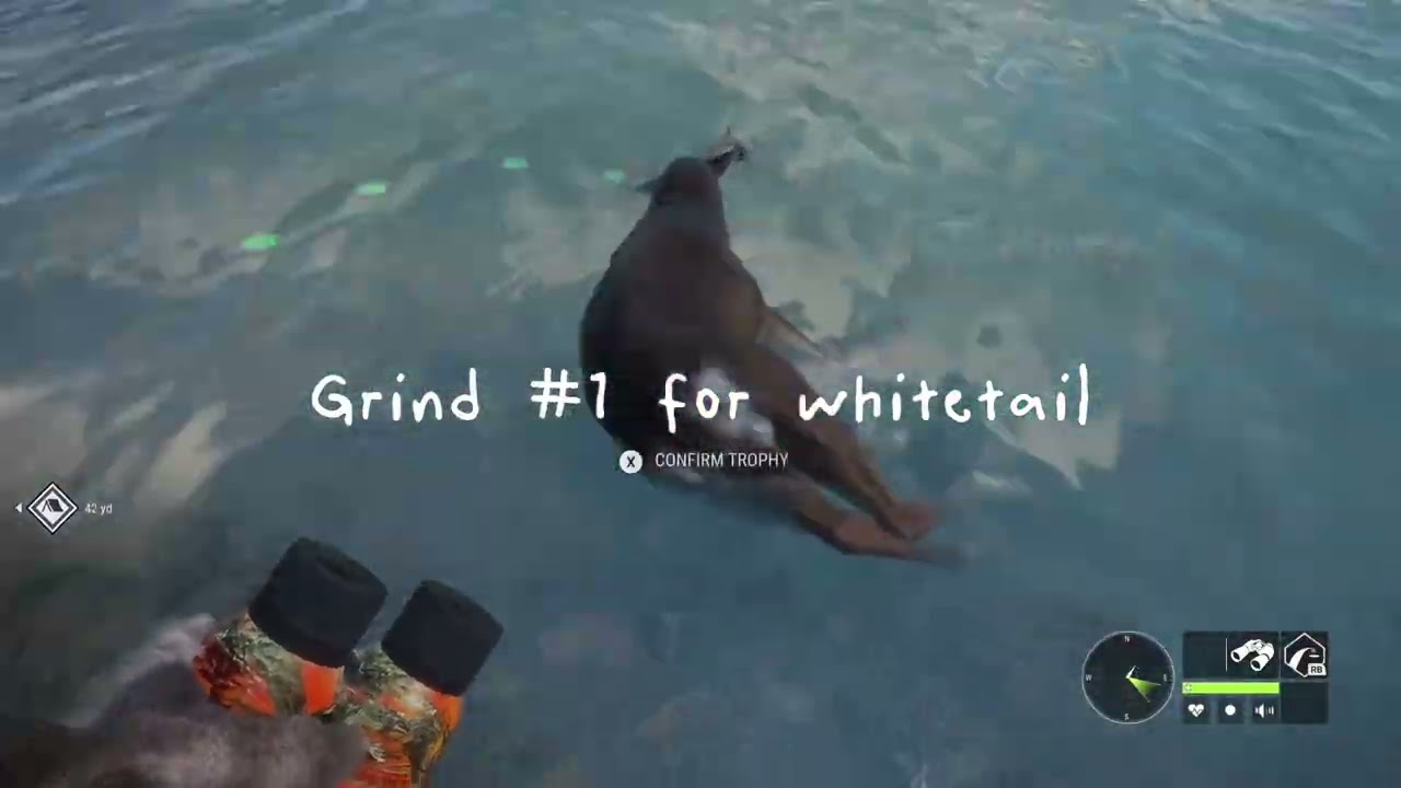 New grind on askiy ridge going good
