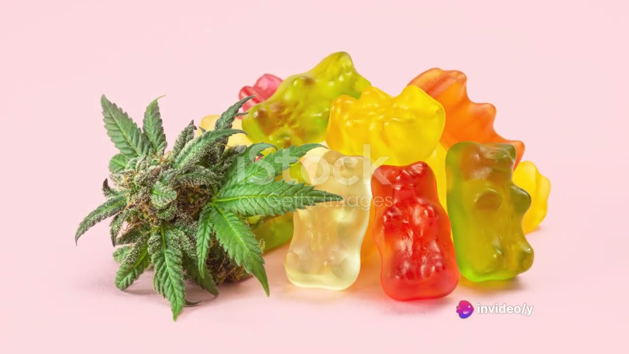 DIY CANNABIS-INFUSED GUMMIES!! 🦖🐻🍃