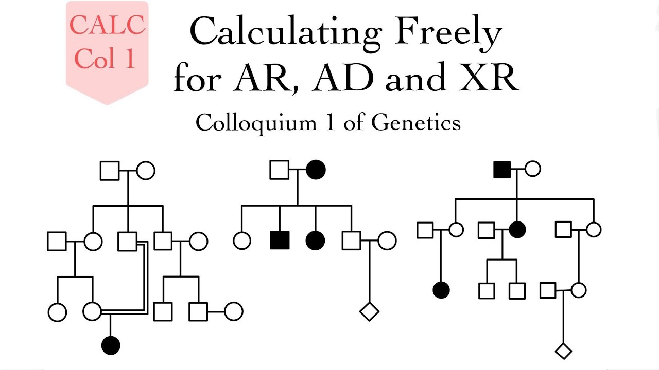 Only Calculations (for Genetics Col 1) - Nadia Aldaher