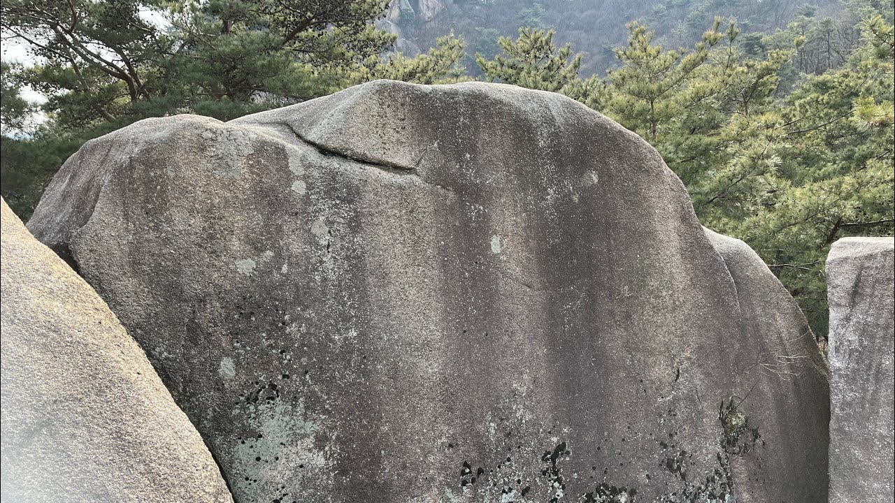 괄호밖의 산행(20260126)-추위를 버티는 고양이를 보면서 #일상 #등산 #사패산 #의정부 