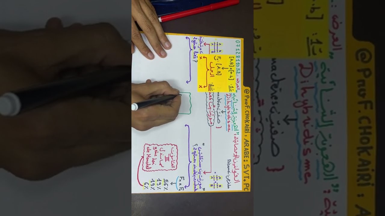 ملخص مهم للهجونة الثنائية (مفتاح الدرس) résumé de dihybridisme