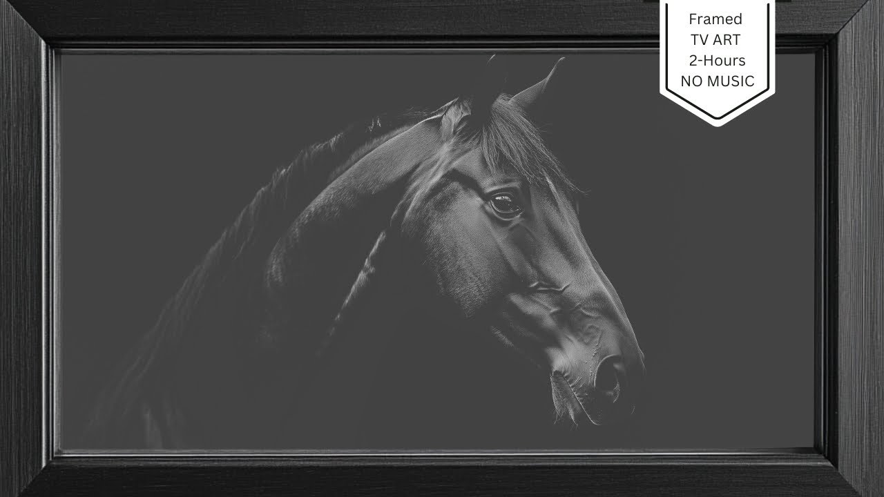 Frame TV Art | Beautiful Black Horse Upclose | Frame Art  | 2 HRS | Screensaver | No Sound