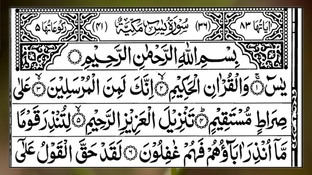 🌿Surah Yaseen Full | Surah Rahman🌹 | Daily Morning Tilawat | (HD) | Alqama Naziri Official