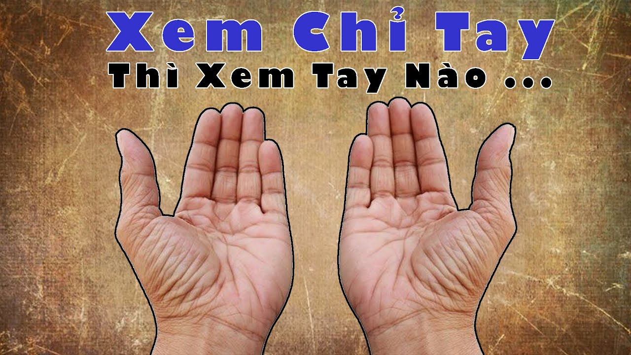 Xem Chỉ Tay Tr&aacute;i Hay Chỉ  Tay Phải Mới Chuẩn | Tử Vi Tướng Số