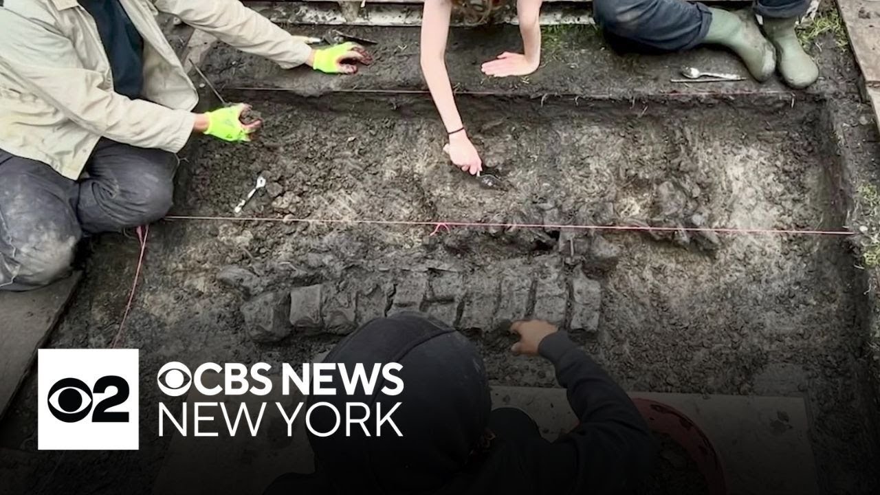 More mastodon remains found in New York's Orange County