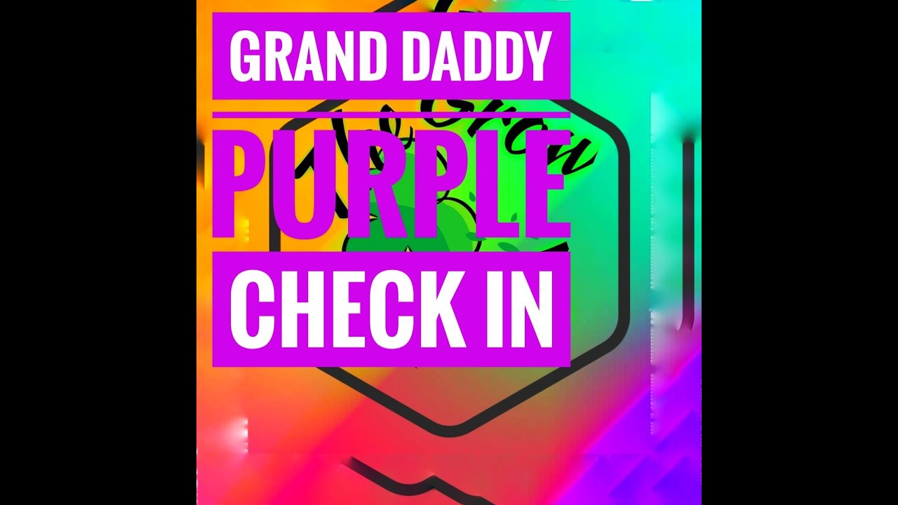 Checking in on the Grand Daddy Purple  in the Mars Hydro Tent growing cannabis