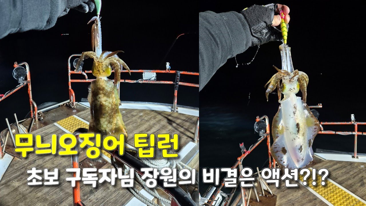 11월의 팁런도 적잖이 즐겁습니다