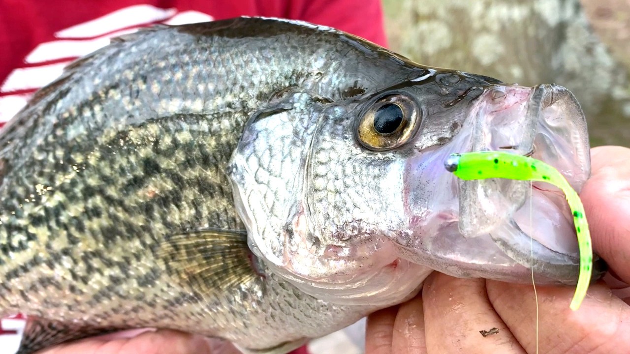THE Jig & Bobber Setup That Crappie Simply Can't Refuse!