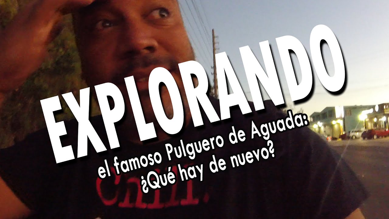 EXPLORANDO el famoso Pulguero de Aguada: ¿Qué hay de nuevo? 🛍️