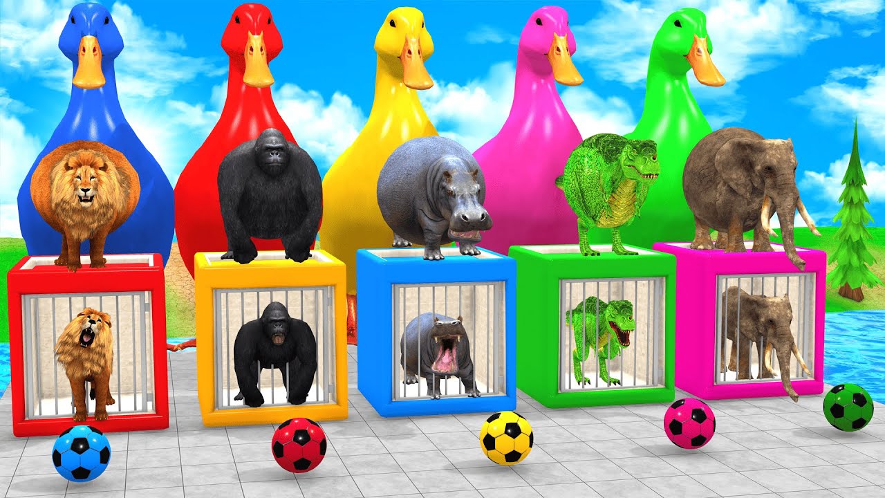 Long Slide Game with Cow Elephant Gorilla Hippopotamus Tiger 3d Animal Game Funny 3d Animals