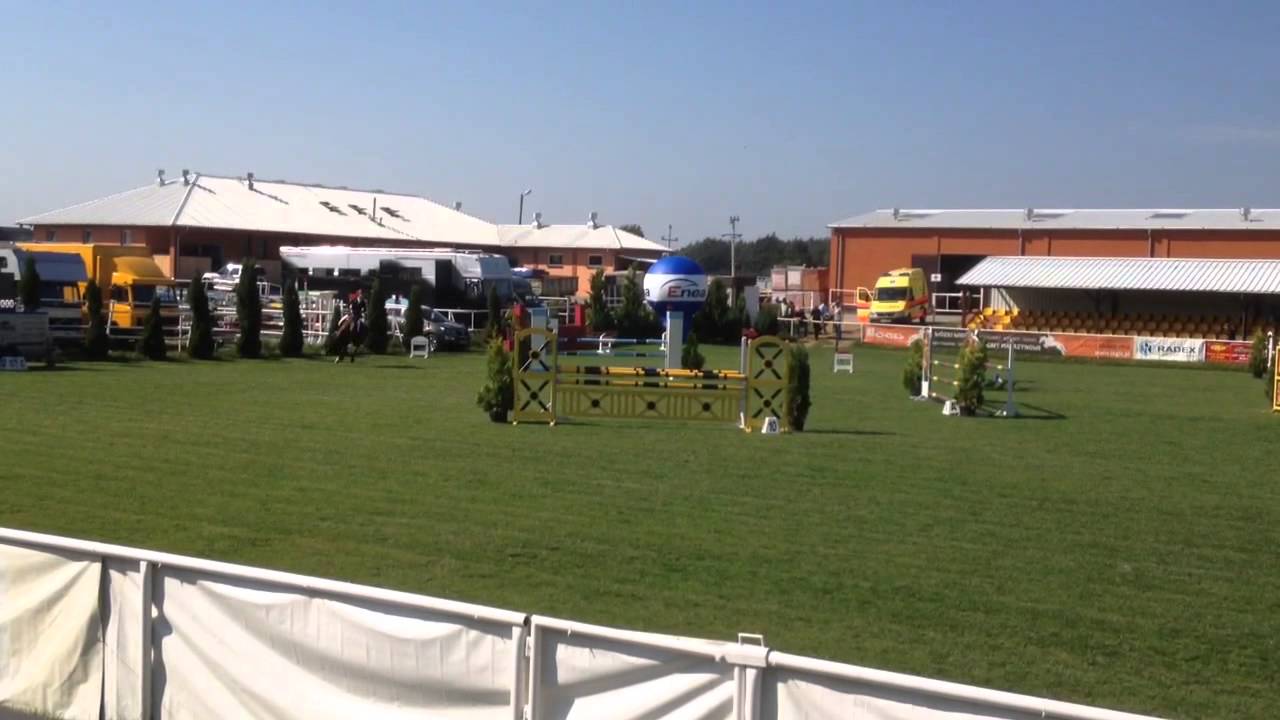 Catoki Olsza czempionaty 2014