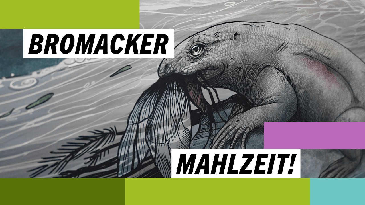 Was Ursaurier am Bromacker ausspuckten: Regurgitalithe und digitale Forschung – Museums-Evolution