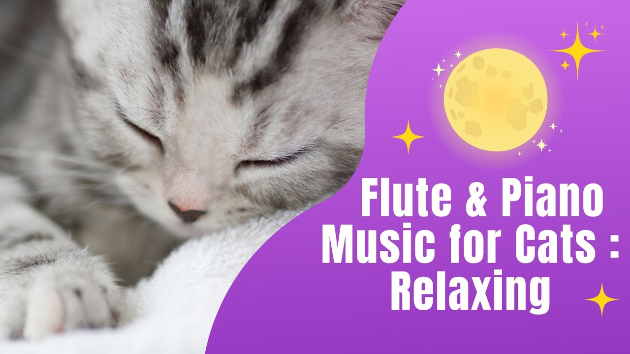 Flute & Piano Music for Cats: Relaxing Tunes for Feline Serenity,