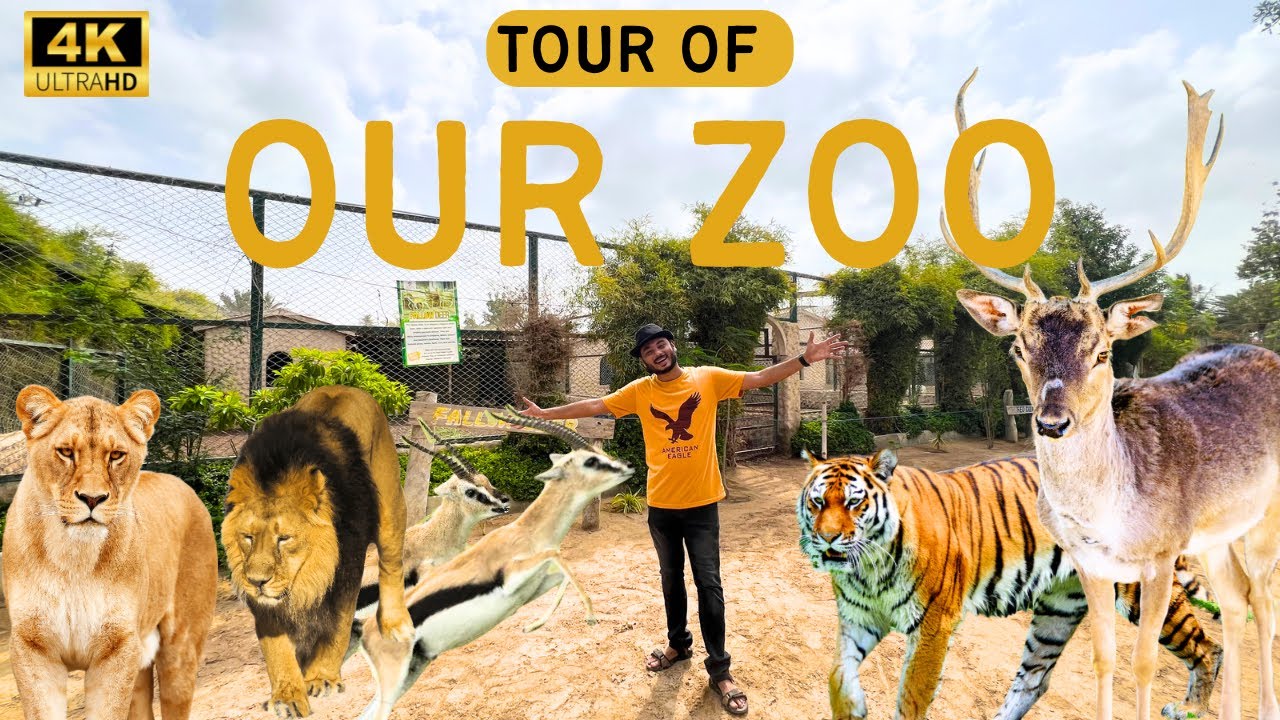 Hamare zoo KA Tour (1000+ animals)