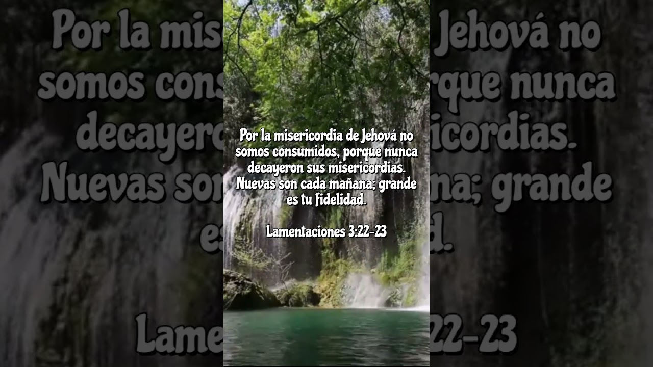Alabanzas musica cristiana #musica #dios #youtubeshorts #music #shortvideo paz y gozo en el alma