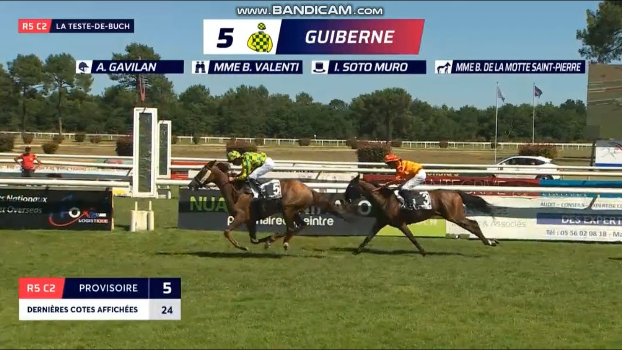 [77] - Guiberne (1er) - 🇫🇷 La Teste-de-Buch (27.06.2025)