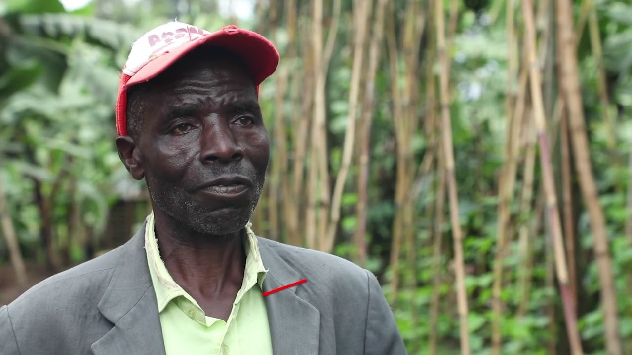 Bunyangabu Beekeepers Cooperative