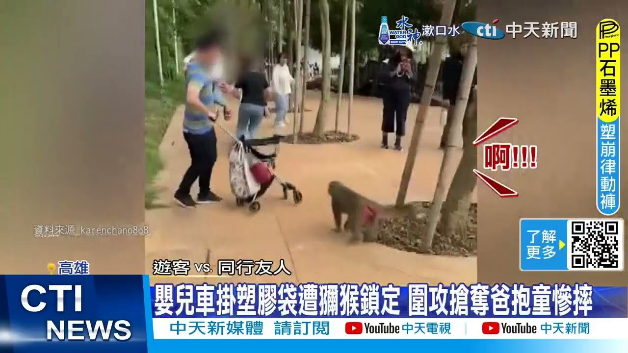【每日必看】獼猴洗劫嬰兒車狂搶 爸抱童閃躲嚇到慘摔 20241124