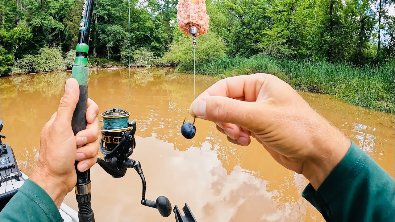 4 Hours of RAW and UNCUT Kayak Carp Fishing with Blueberries in a Muddy Creek