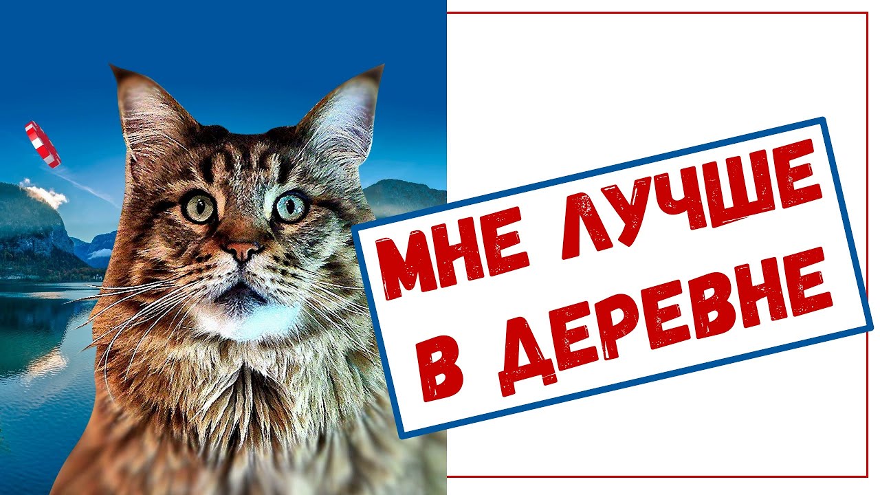 Город или село. Где дом, а где дача