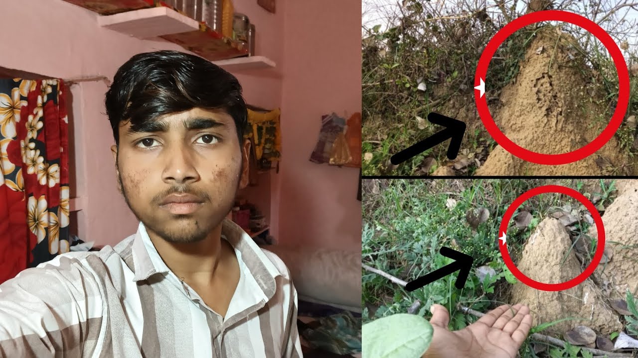 Yah kya chij hai hamare khet per? 🤔🤔