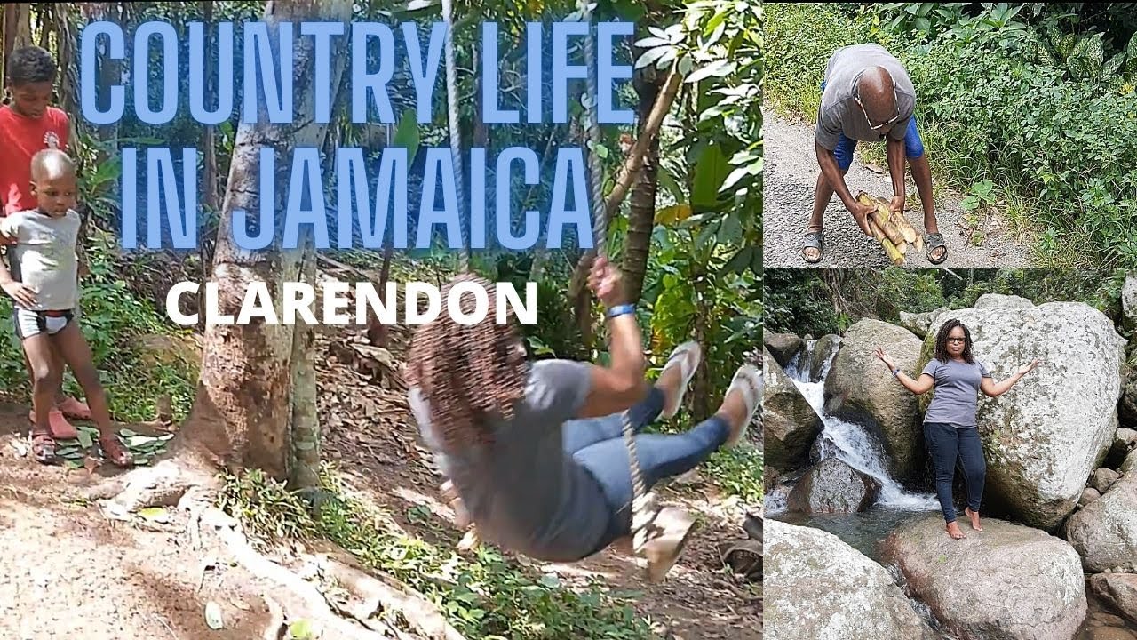 COUNTRY LIFE IN JAMAICA| COUNTRY LIVING AND LIFE| SMITHVILLE CLARENDON