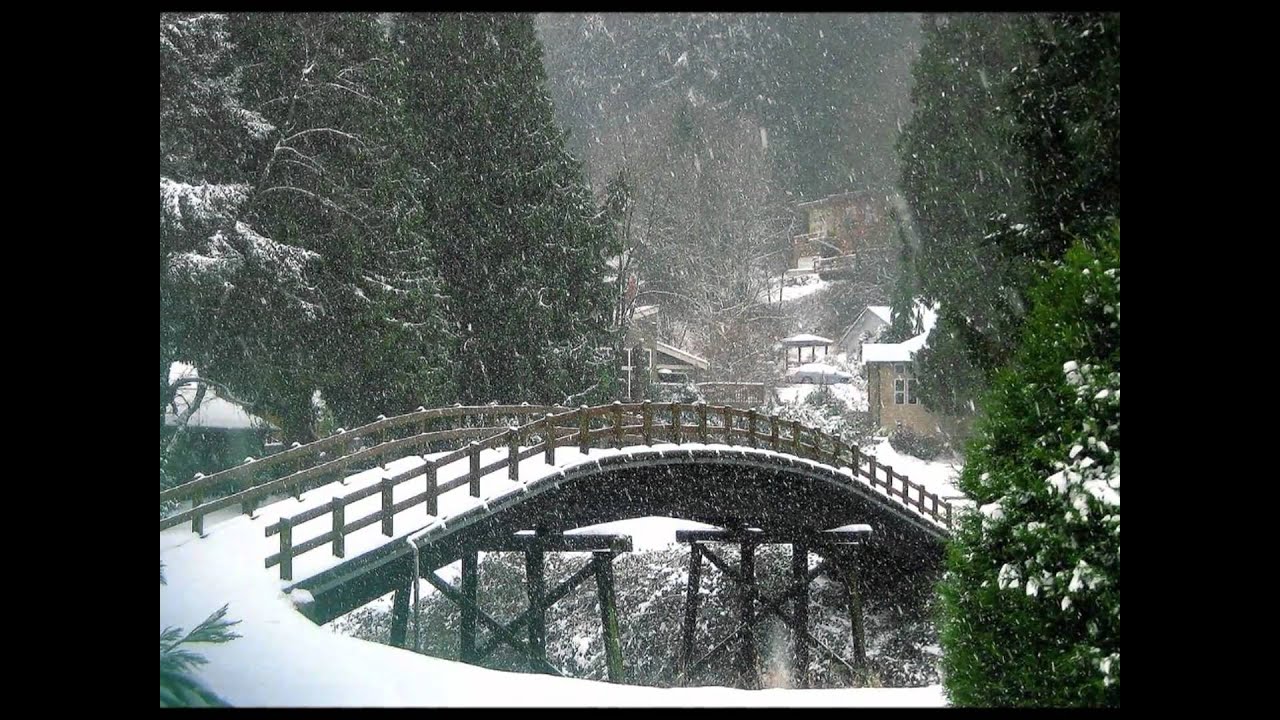 Winter - The Devin Townsend Project [HD][HQ]