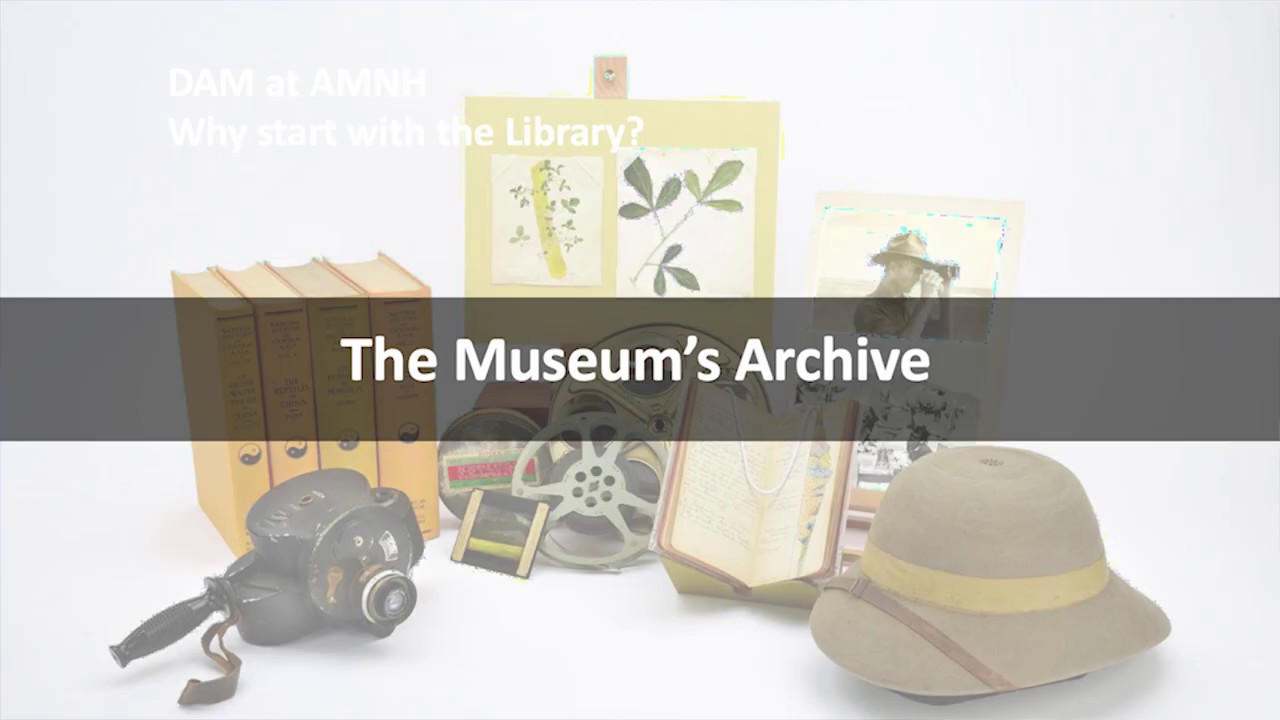 Creating a Repository of Relationships: The Road to DAM at the American Museum of Natural History