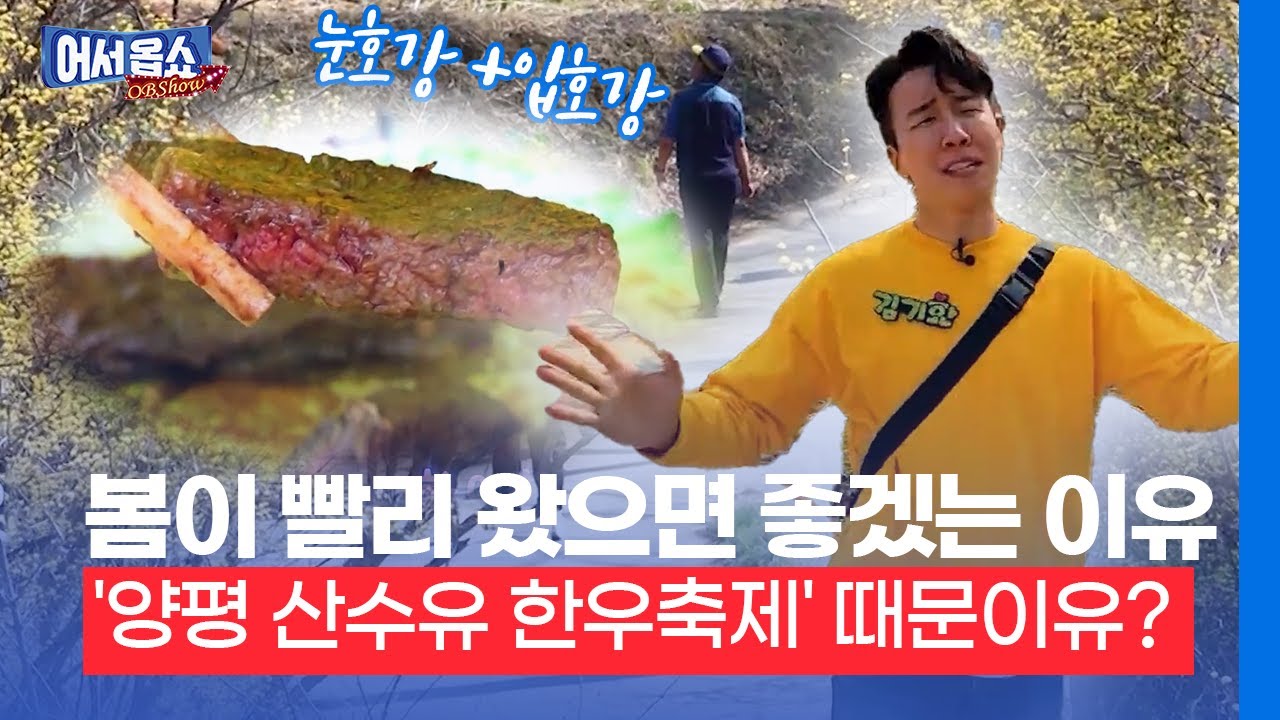 [어서옵쇼] 봄이 빨리 왔으면 좋겠는 이유…'양평 산수유 한우축제' 때문이유?