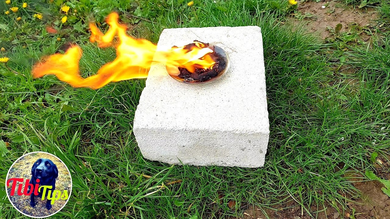 Aplica aceasta metoda si pomii tai vor fii protejati!