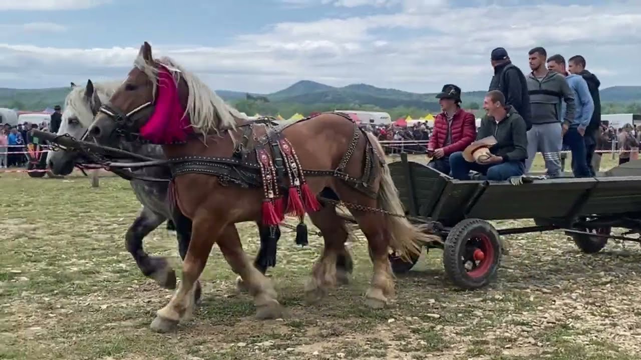 🔥Кінні Змагання в Румунії 🔥🐴💪
